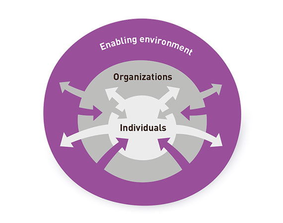 The 3 dimensions of Capacity Development