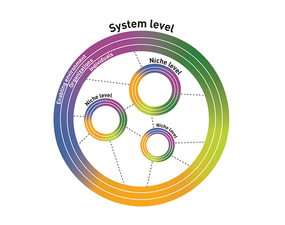 Dual Pathway Approach to CD for AIS